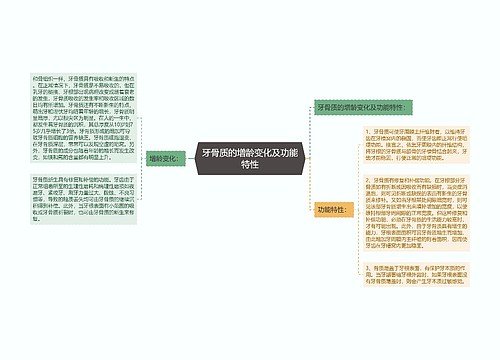 牙骨质的增龄变化及功能特性