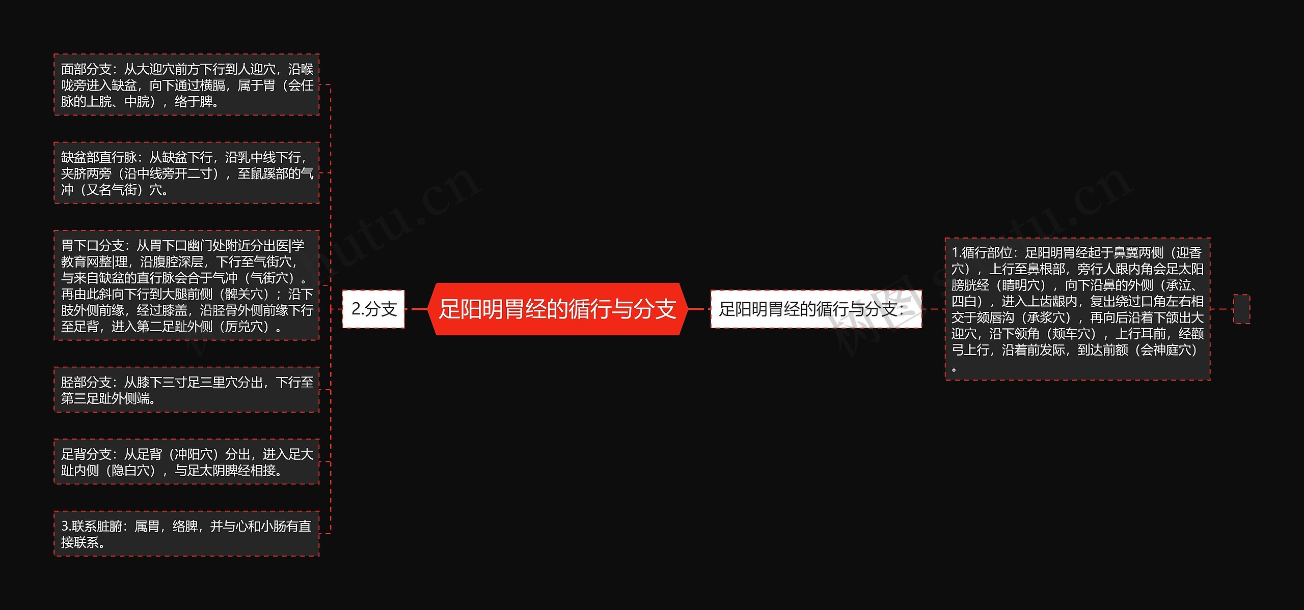 足阳明胃经的循行与分支思维导图