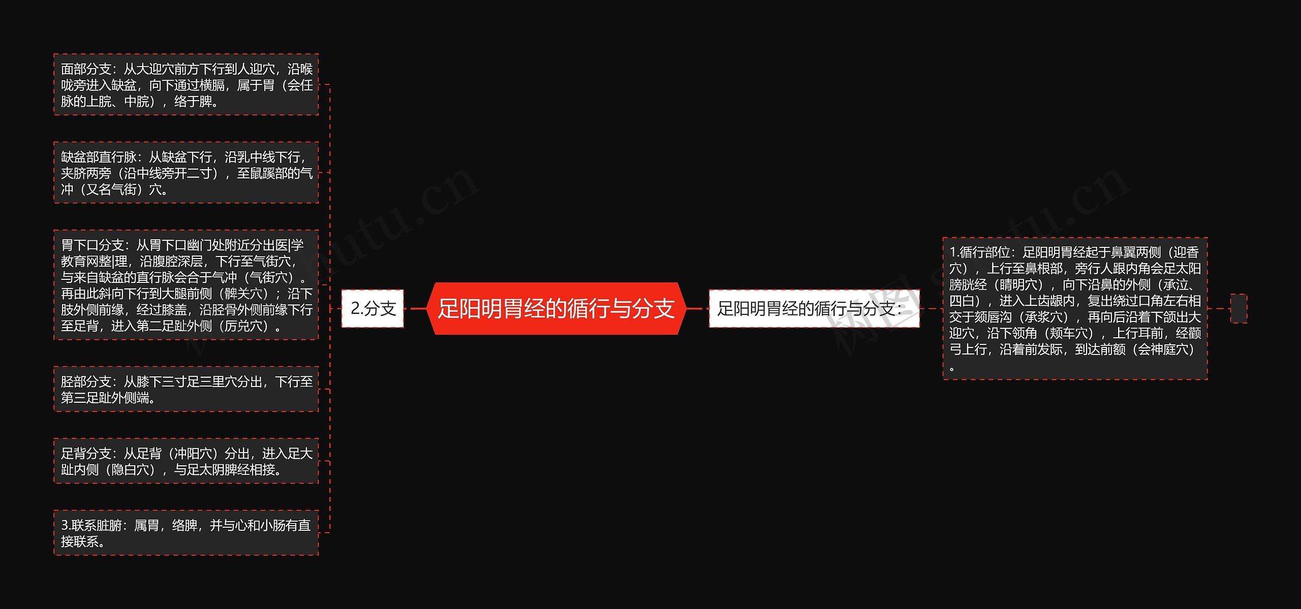 足阳明胃经的循行与分支 足阳明胃经的循行与分支