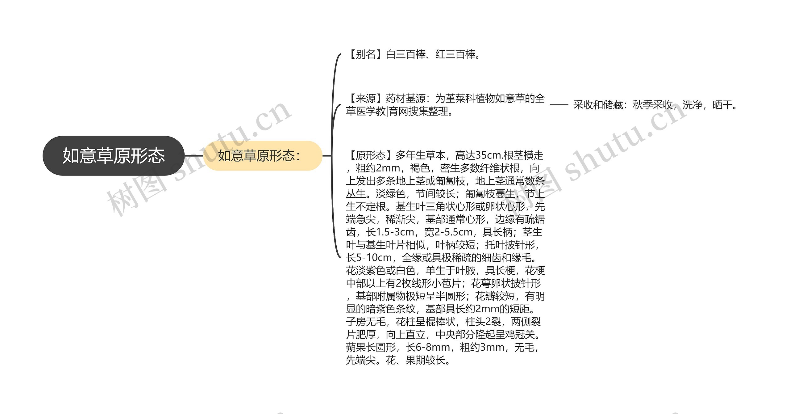 如意草原形态 如意草原形态