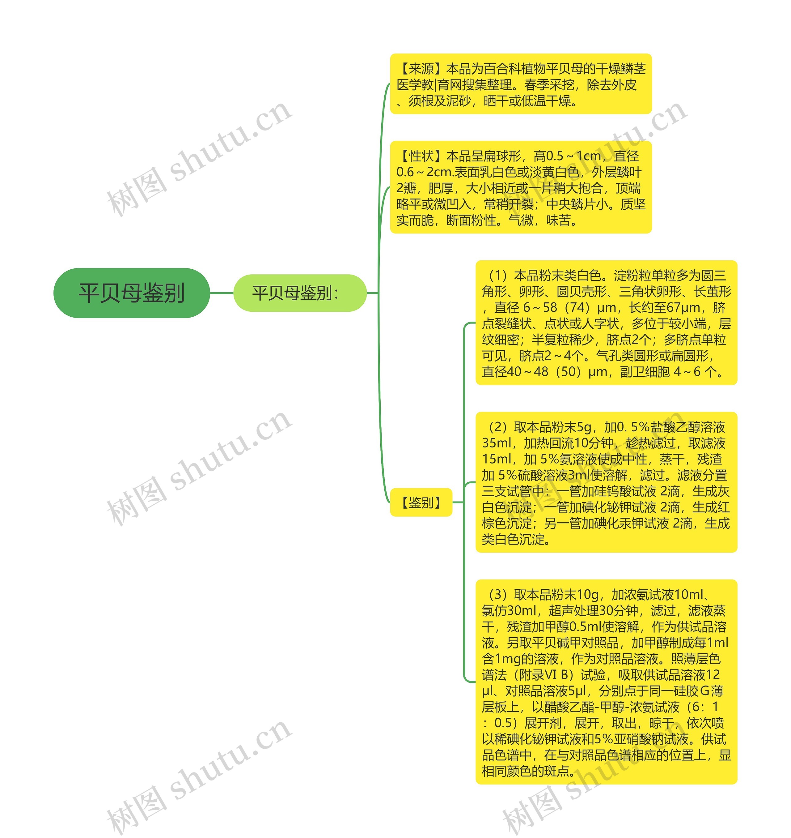 平贝母鉴别思维导图