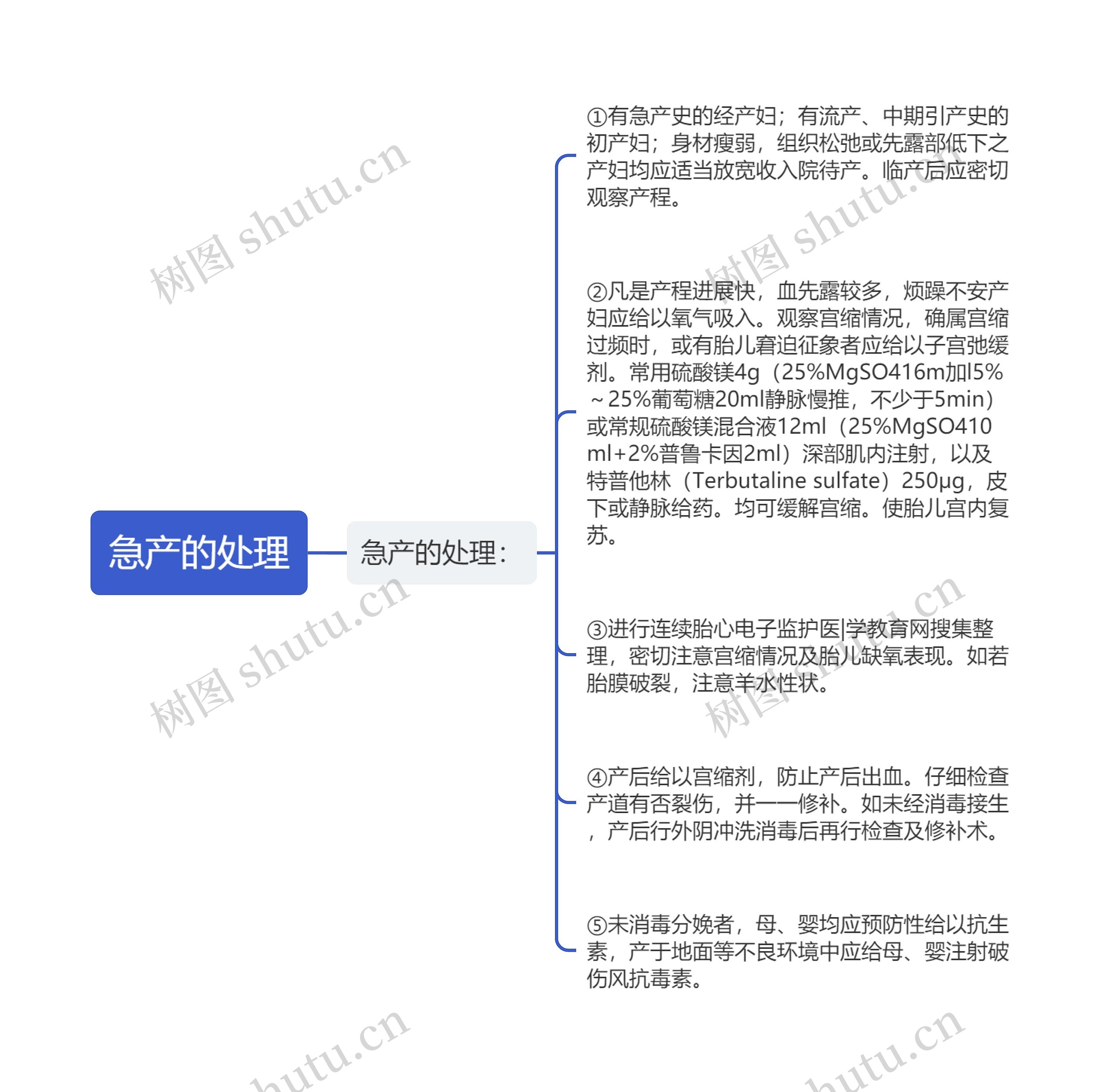 急产的处理思维导图