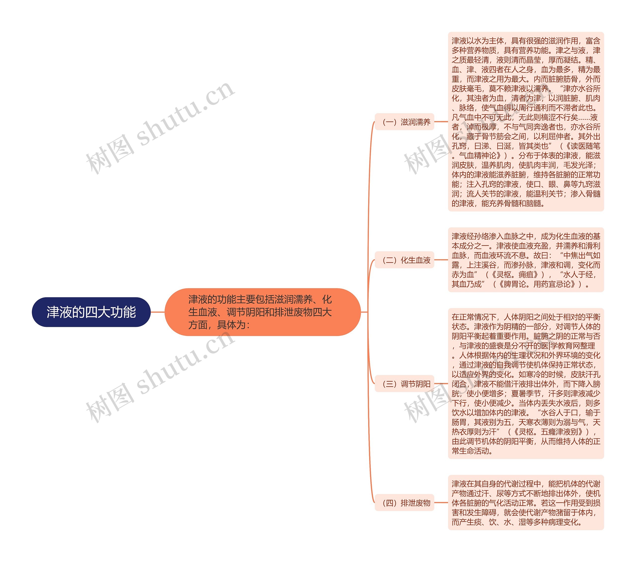 津液的四大功能思维导图