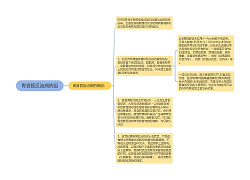 胃食管反流病病因