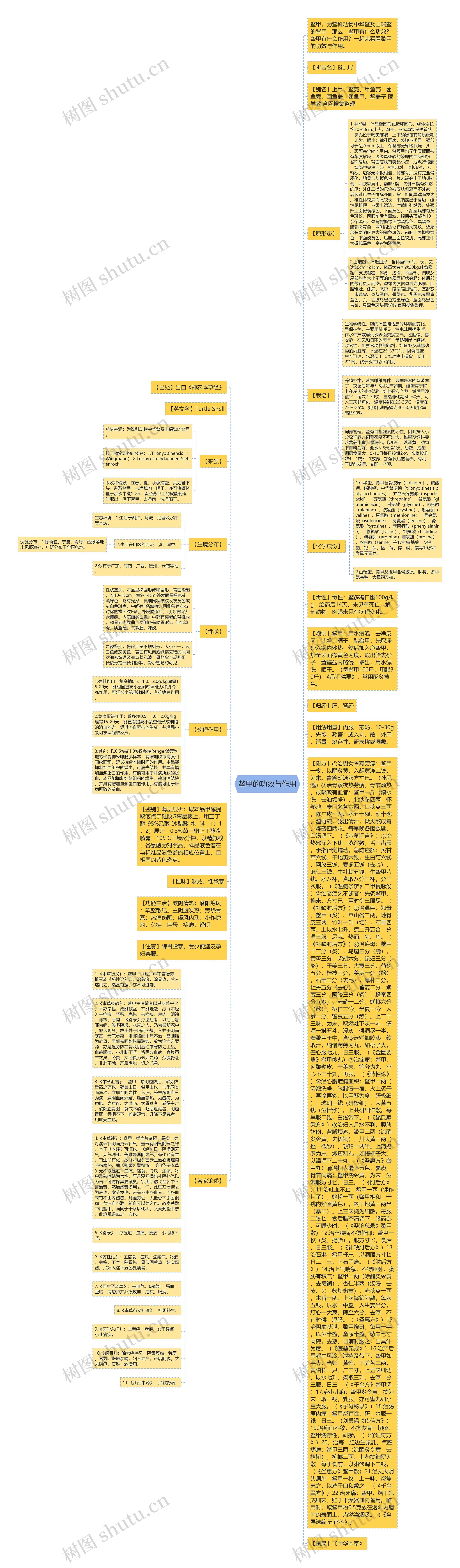 鳖甲的功效与作用思维导图高清图 鳖甲的功效与作用思维导图