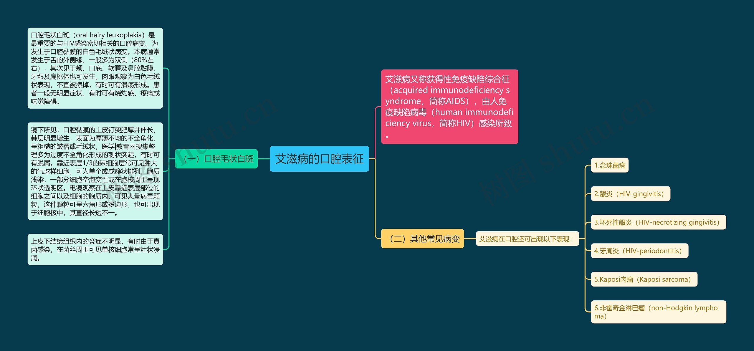 艾滋病的口腔表征思维导图