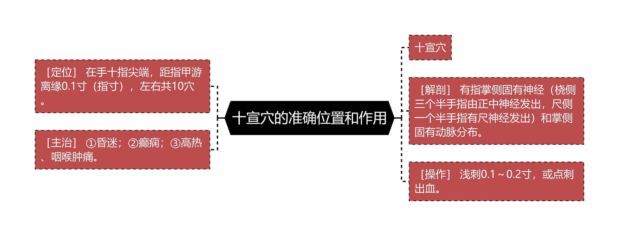 十宣穴的准确位置和作用