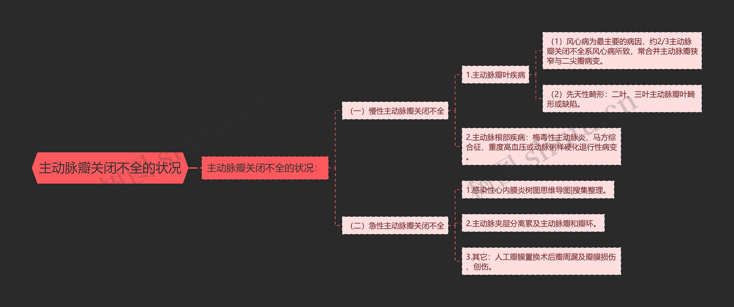 主动脉瓣关闭不全的状况