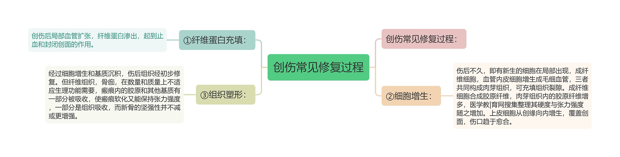 创伤常见修复过程思维导图