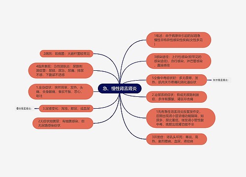 急、慢性肾盂肾炎