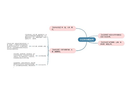白芷的功能|应用