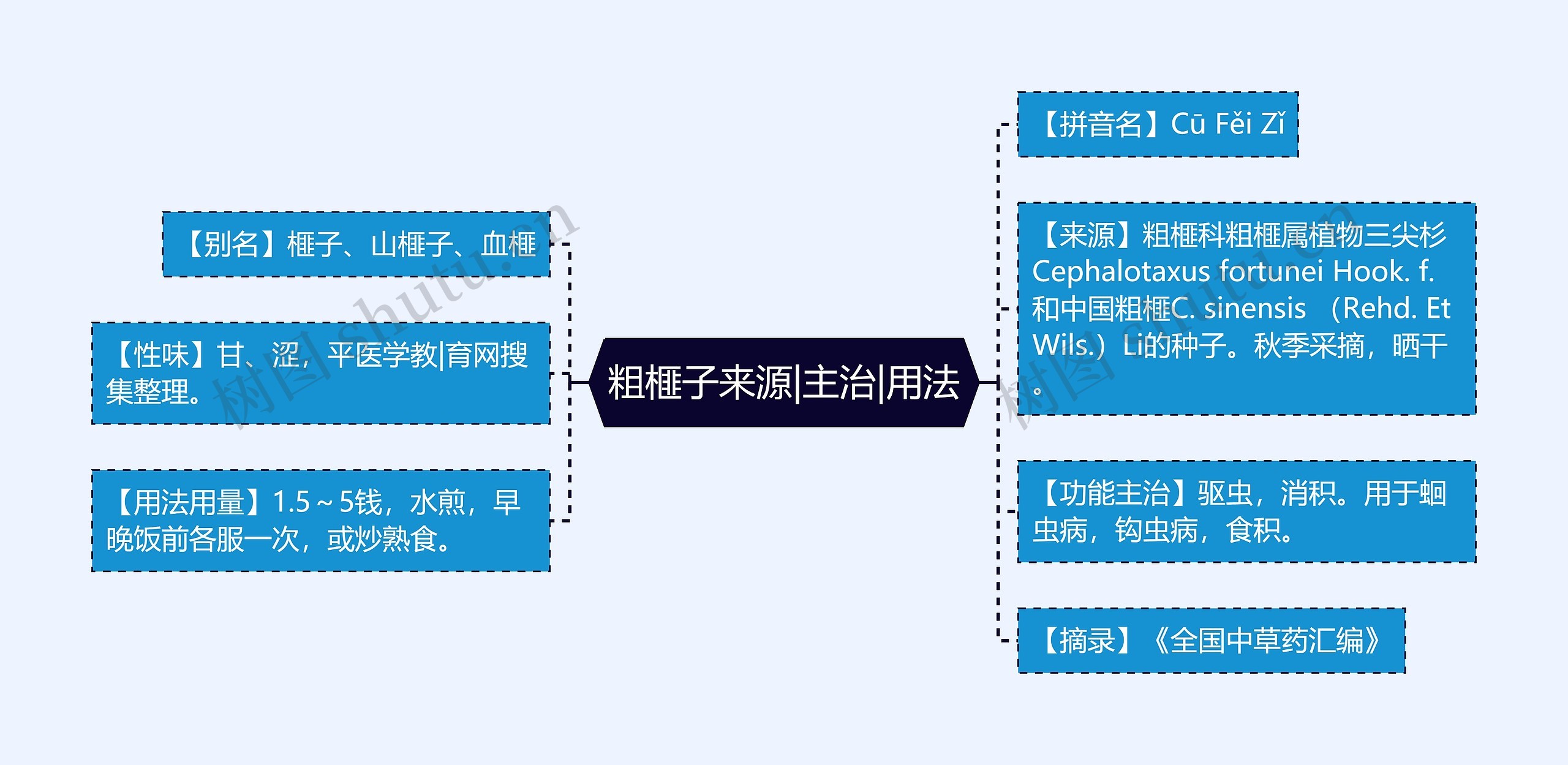 粗榧子来源|主治|用法思维导图