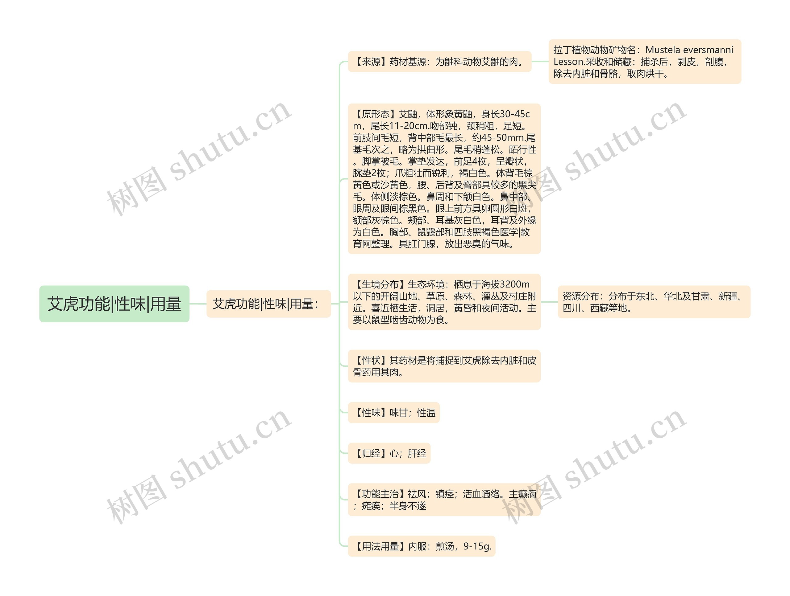 艾虎功能|性味|用量思维导图