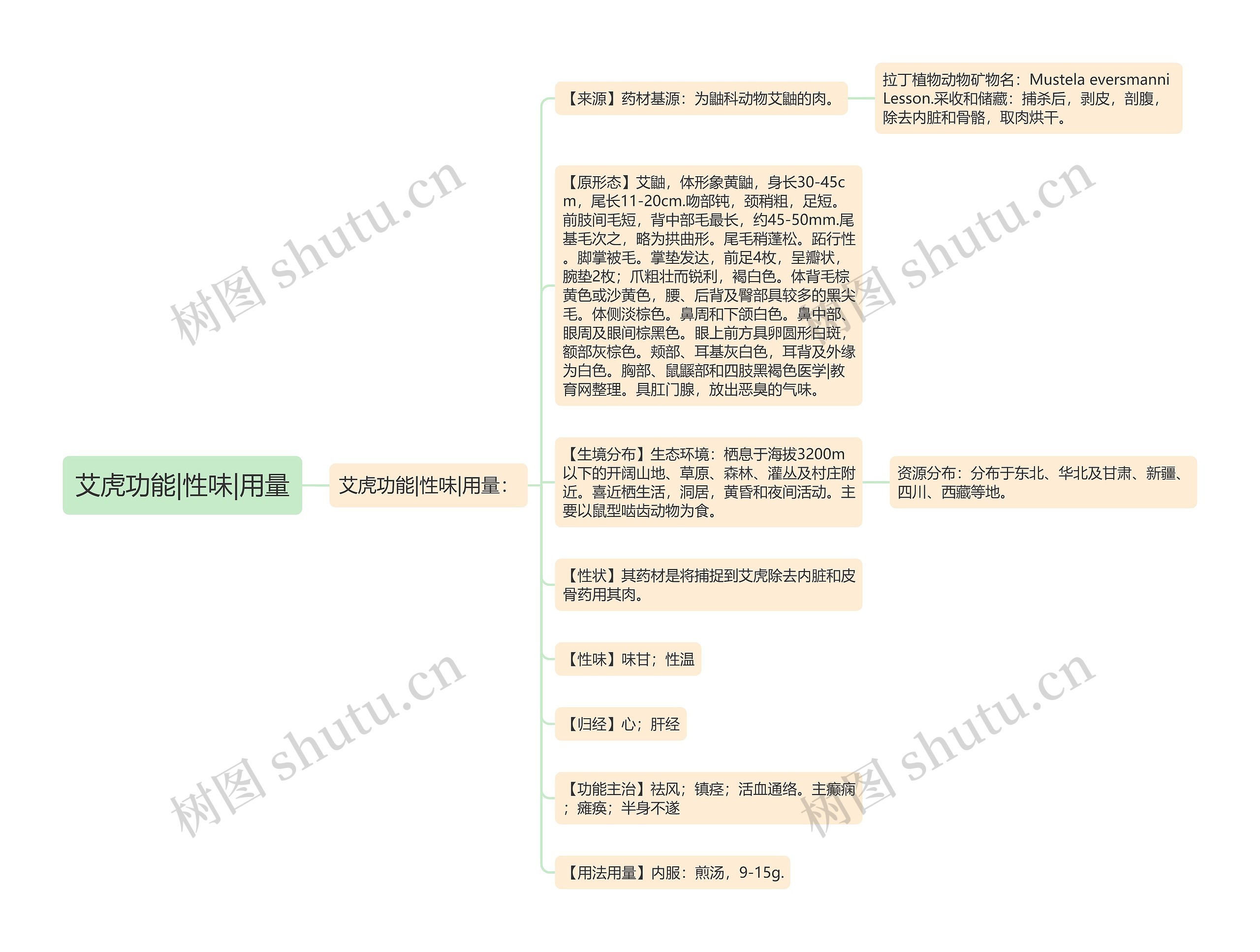 艾虎功能|性味|用量 艾虎功能|性味|用量