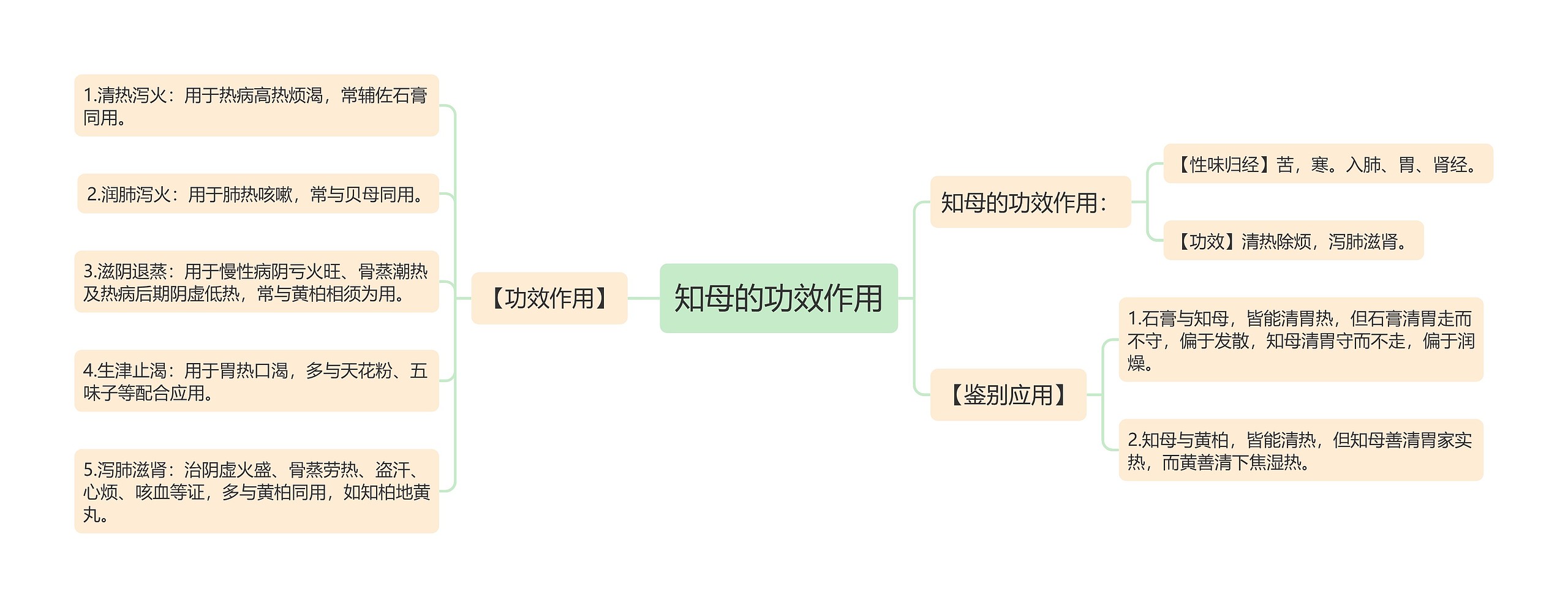 知母的功效作用思维导图