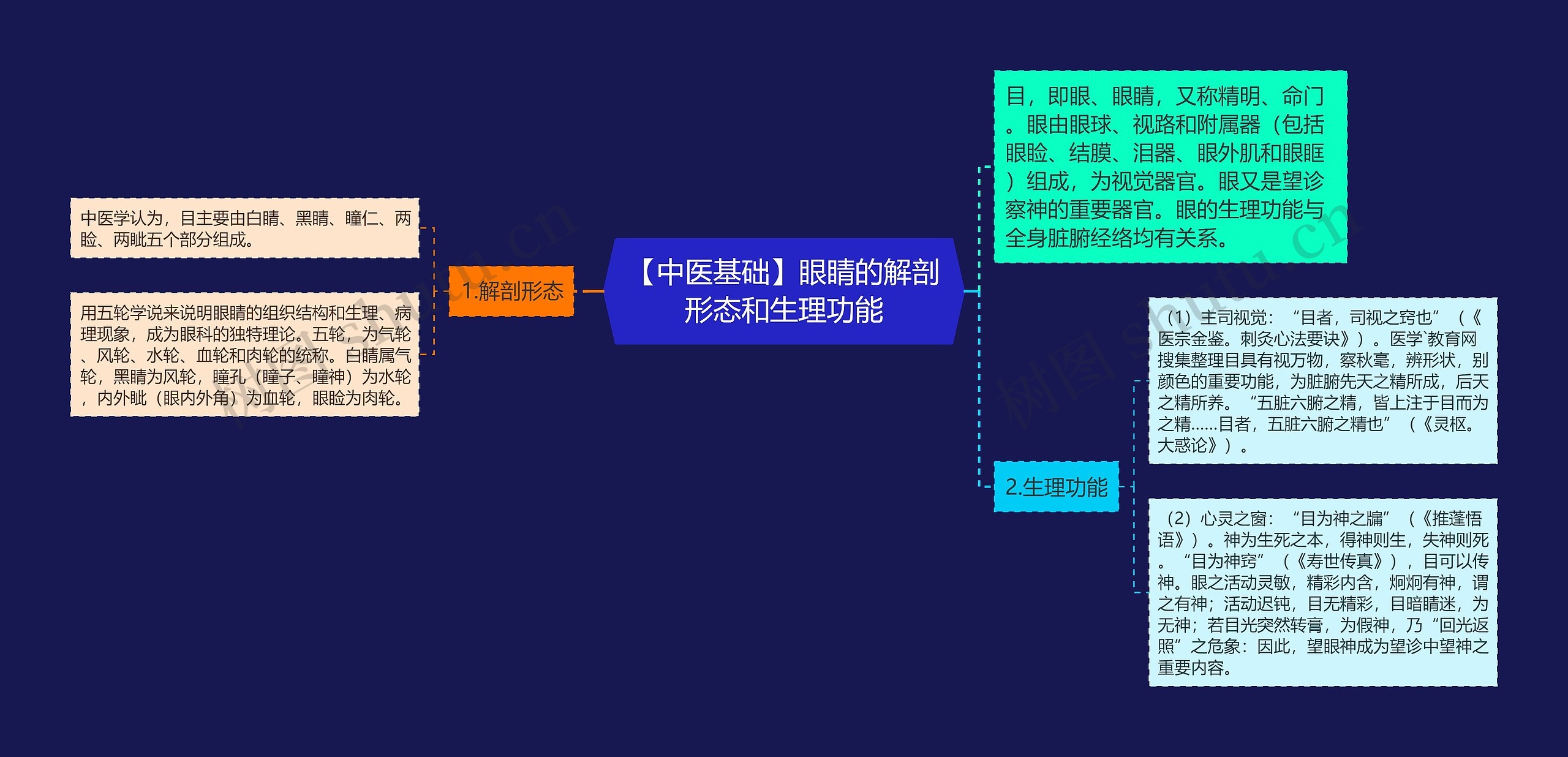 【中医基础】眼睛的解剖形态和生理功能思维导图