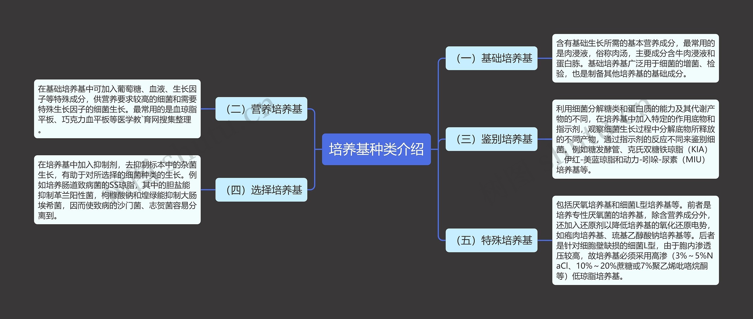 培养基种类介绍