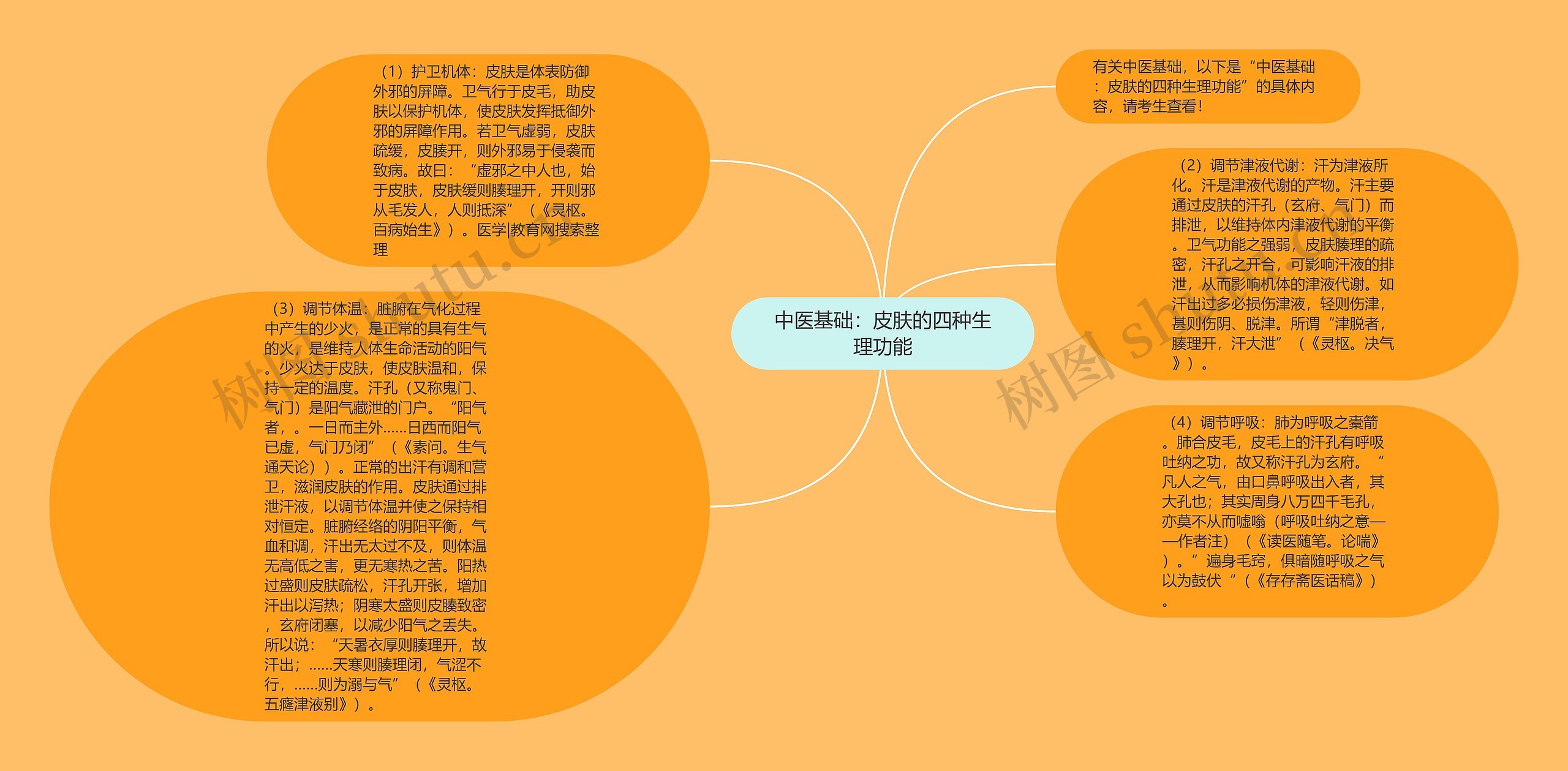 中医基础：皮肤的四种生理功能思维导图