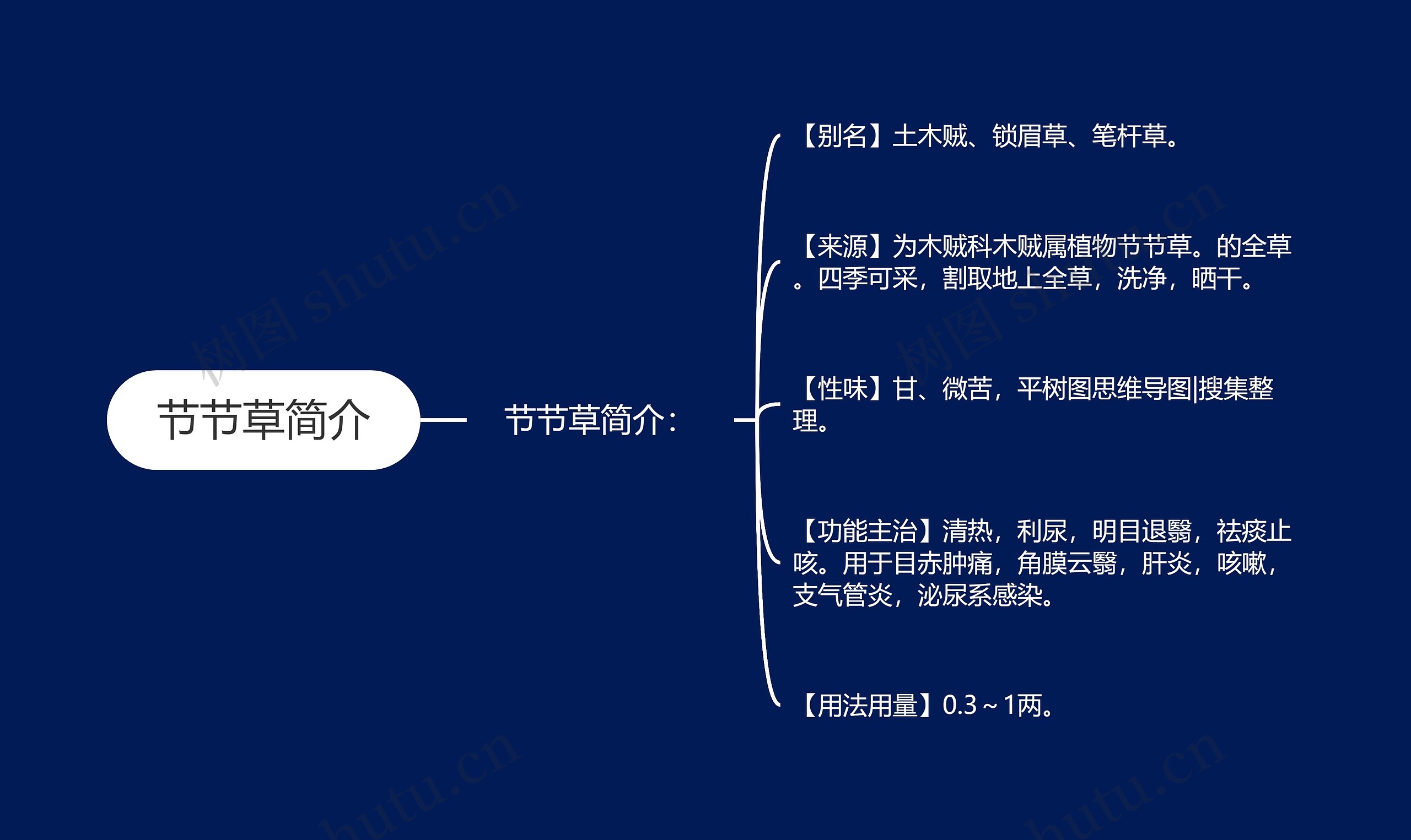 节节草简介思维导图