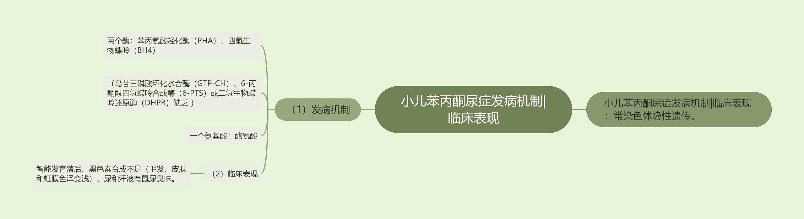 小儿苯丙酮尿症发病机制|临床表现