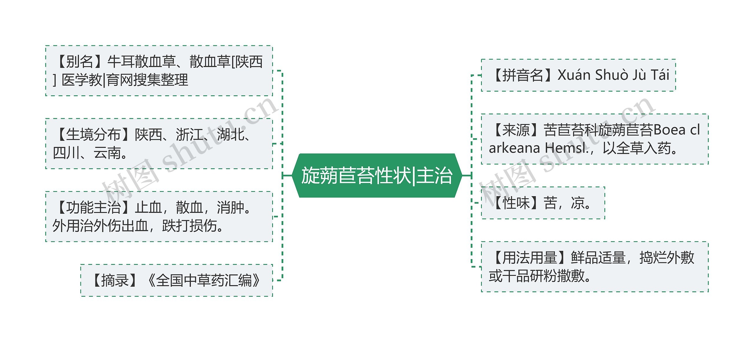 旋蒴苣苔性状|主治
