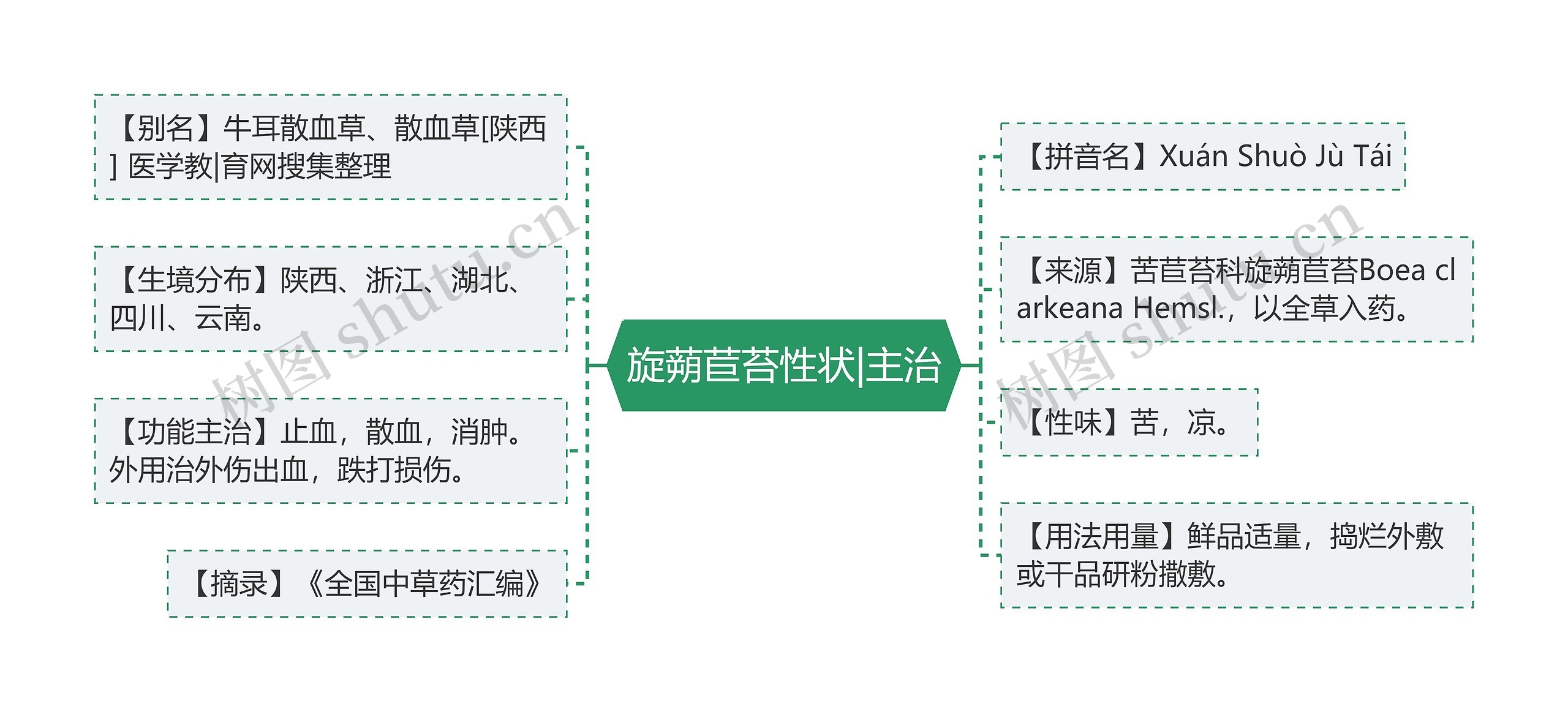 旋蒴苣苔性状|主治思维导图