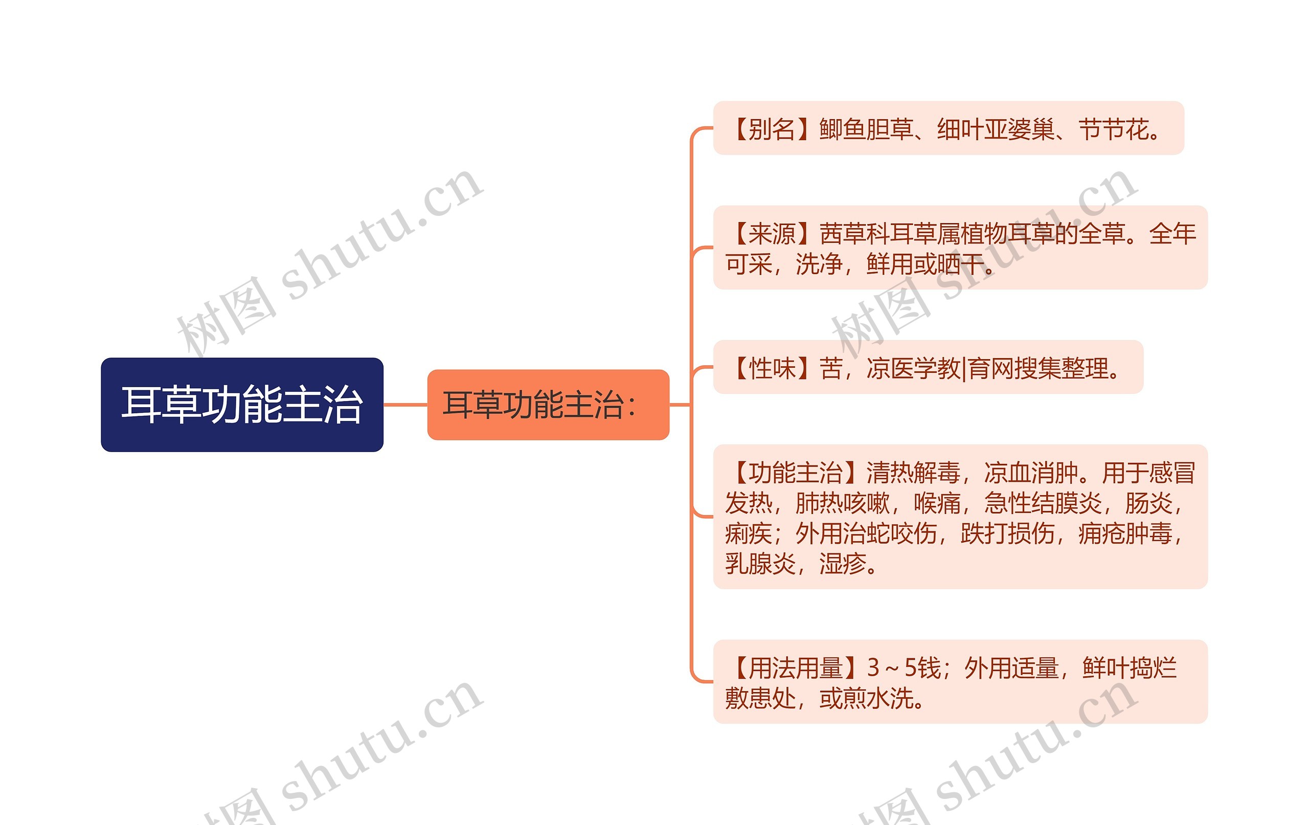 耳草功能主治思维导图