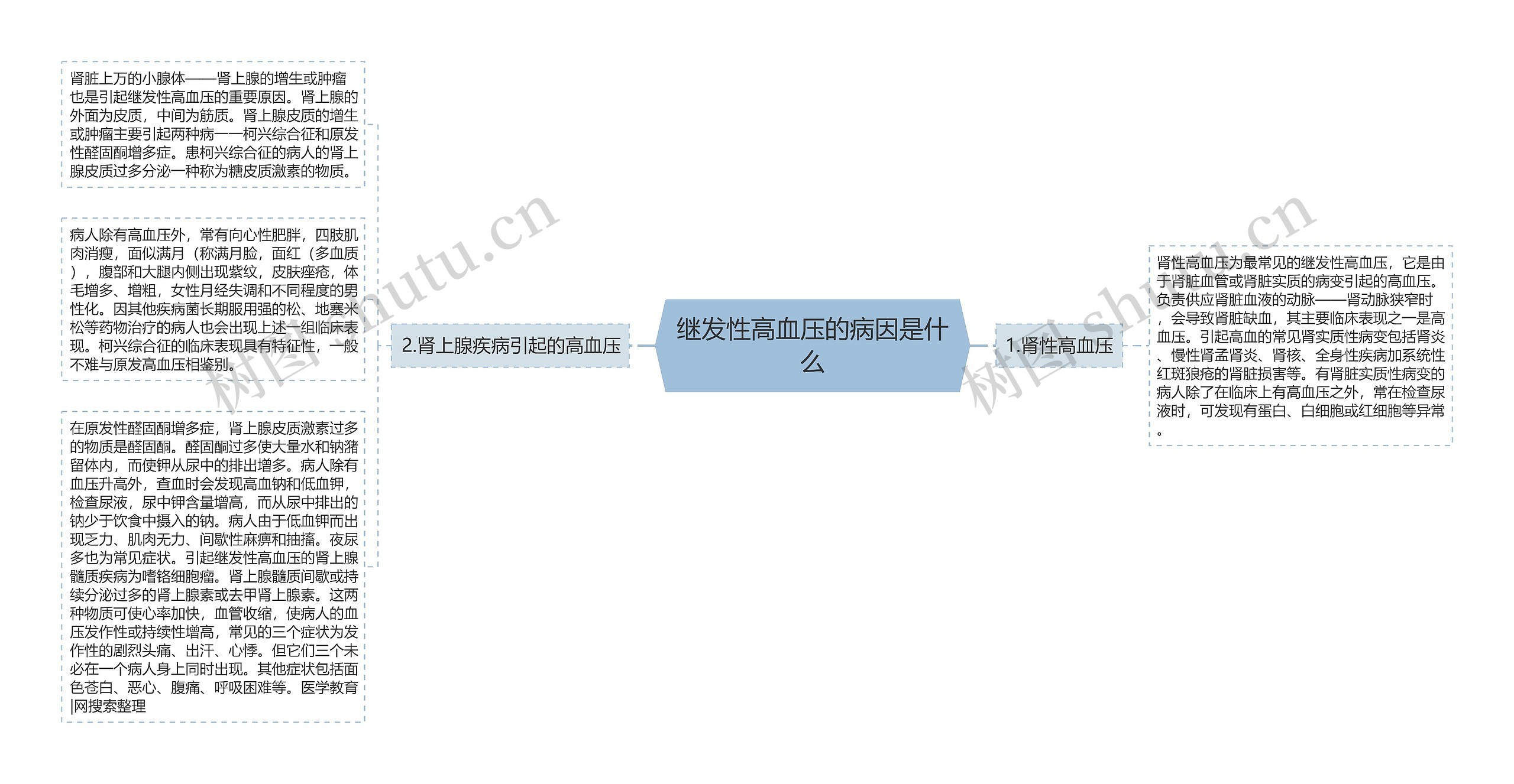 继发性高血压的病因是什么