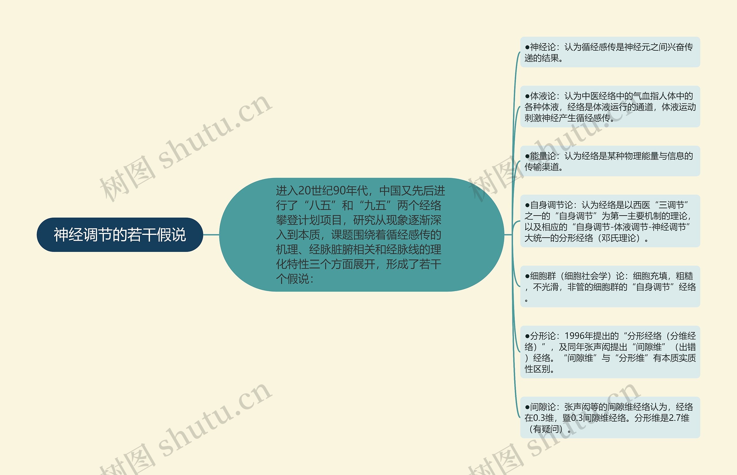 神经调节的若干假说