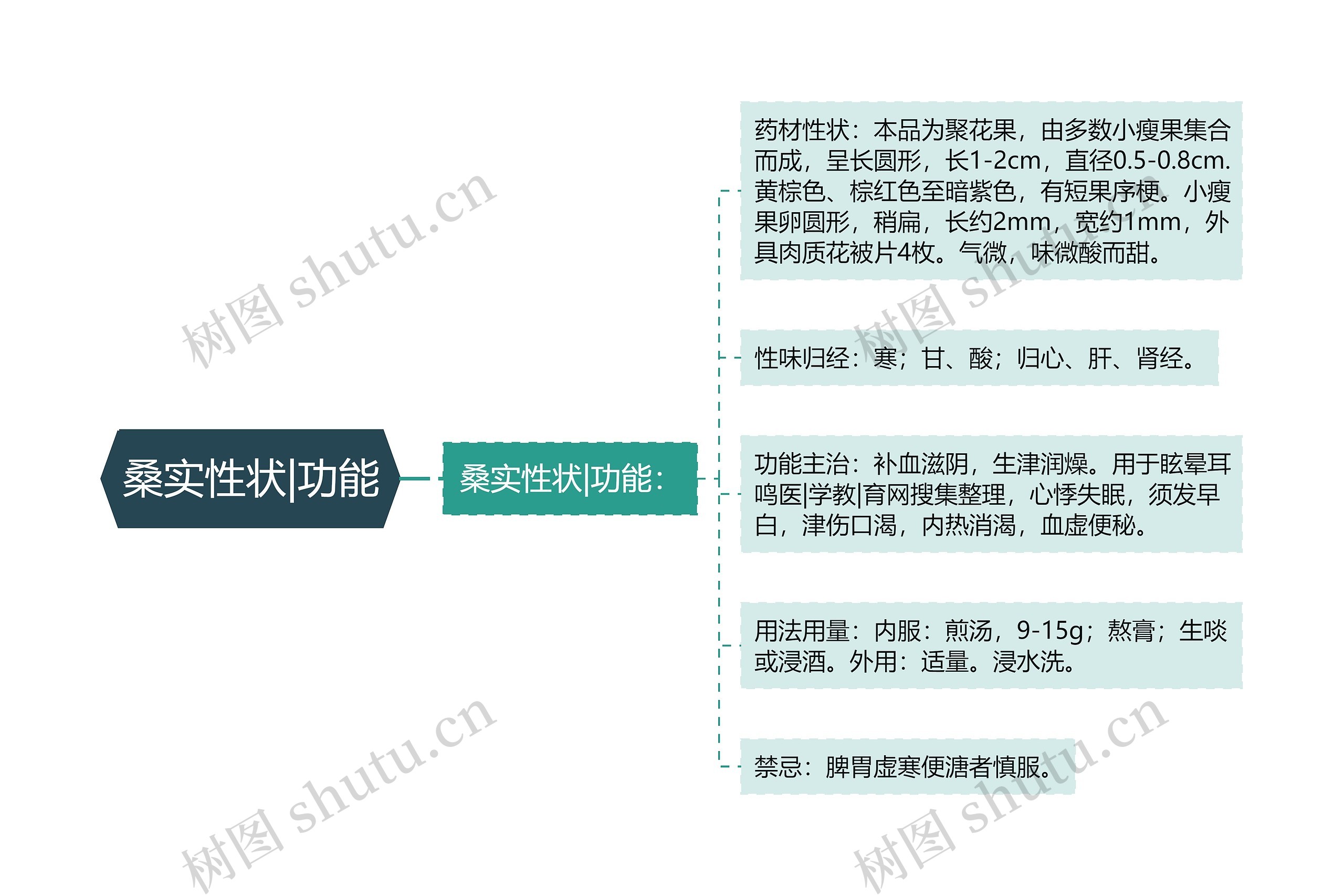 桑实性状|功能思维导图