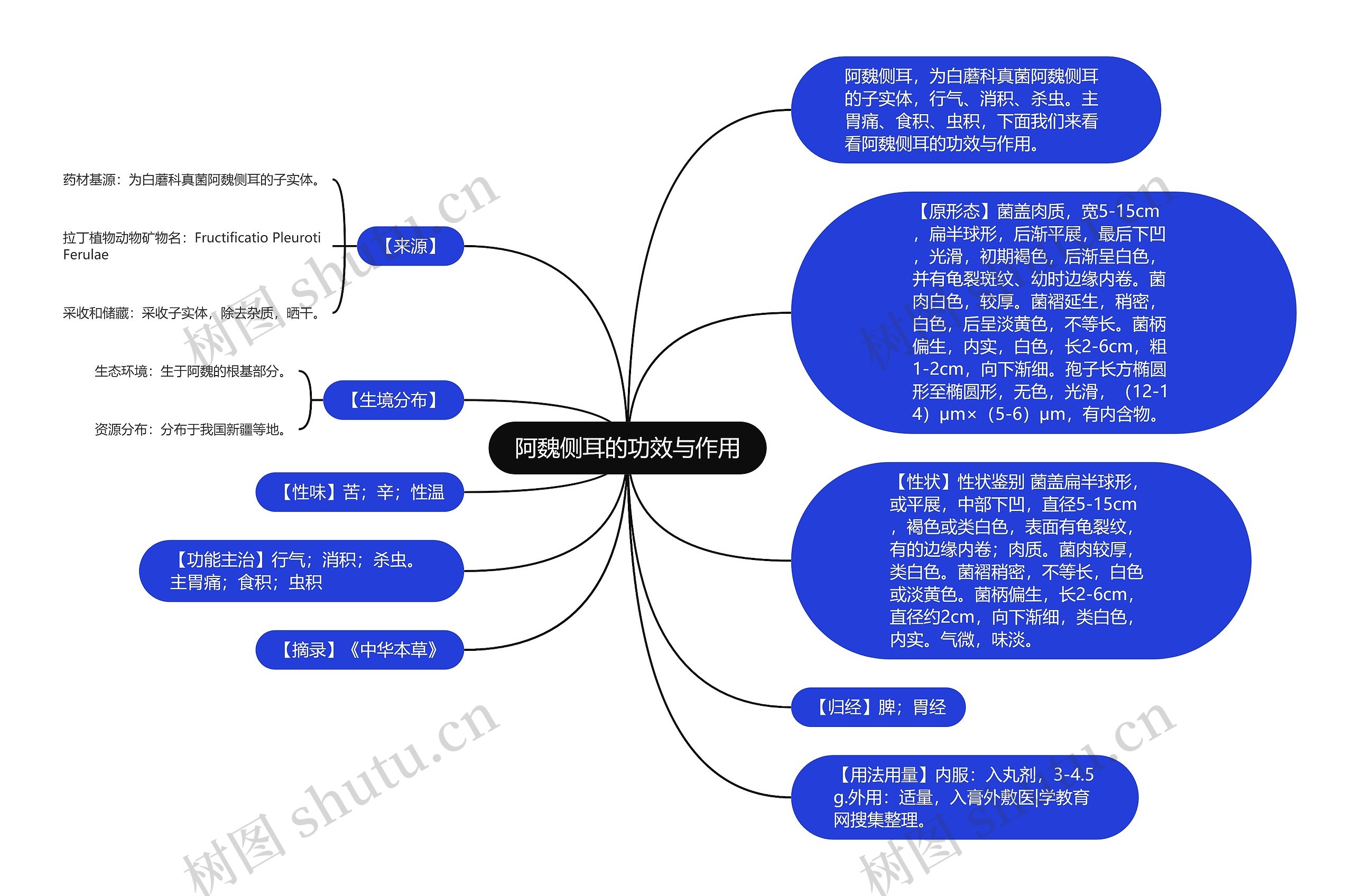 阿魏侧耳的功效与作用思维导图