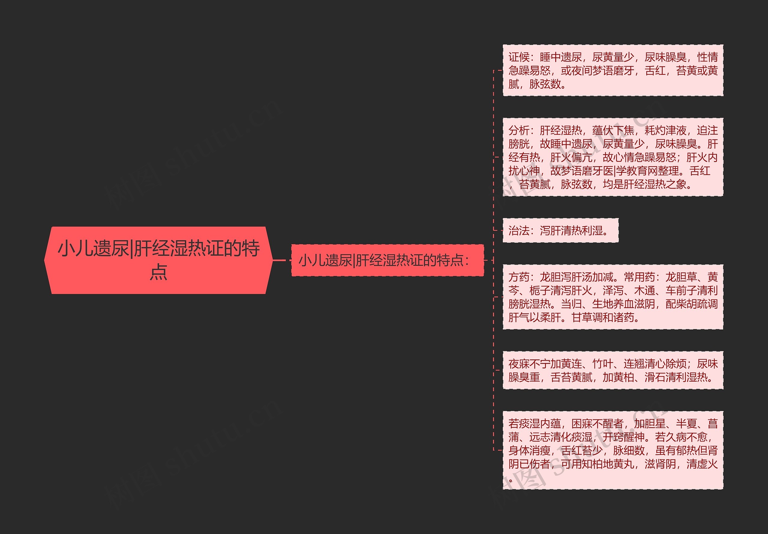 小儿遗尿|肝经湿热证的特点思维导图