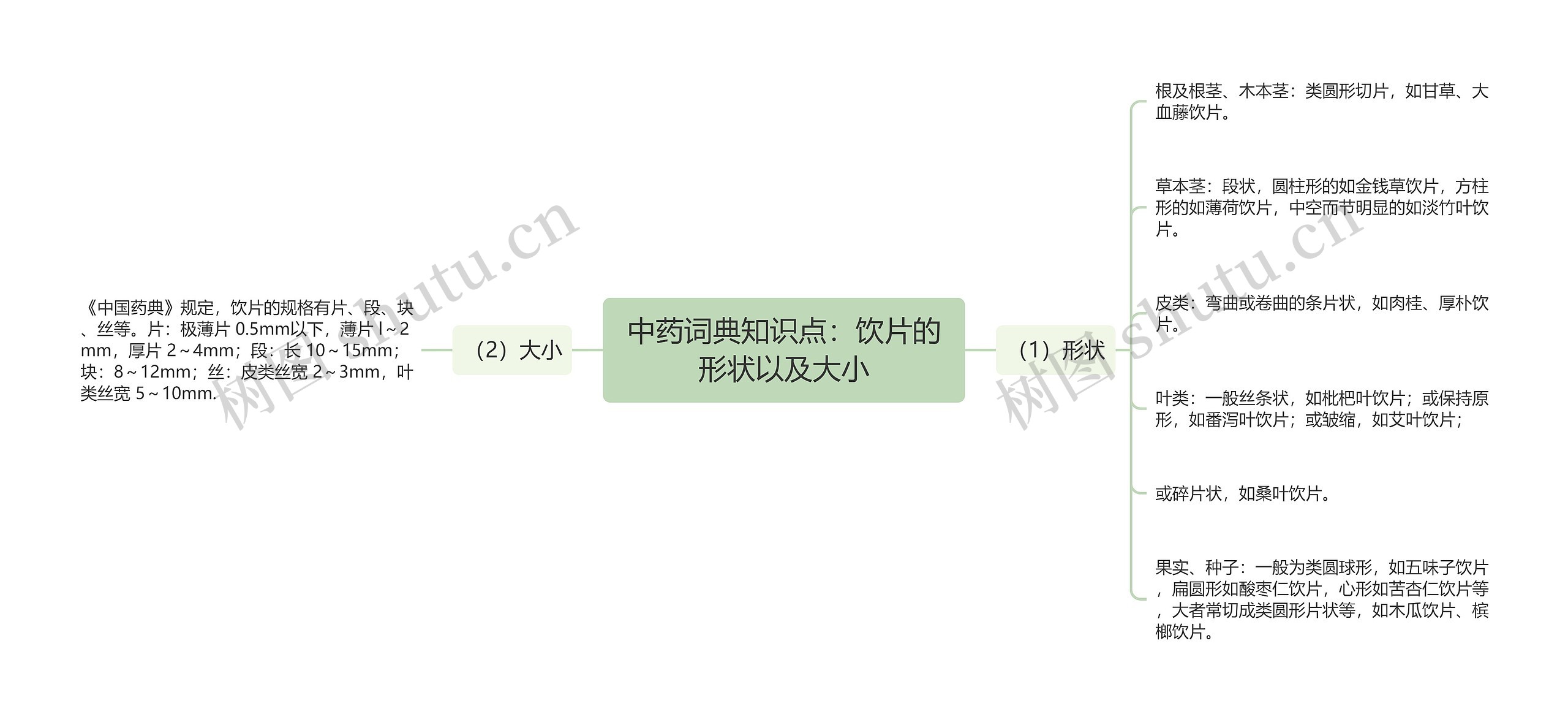 中药词典知识点：饮片的形状以及大小思维导图