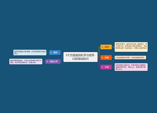 5个方面鉴别乳牙与恒牙-口腔基础知识