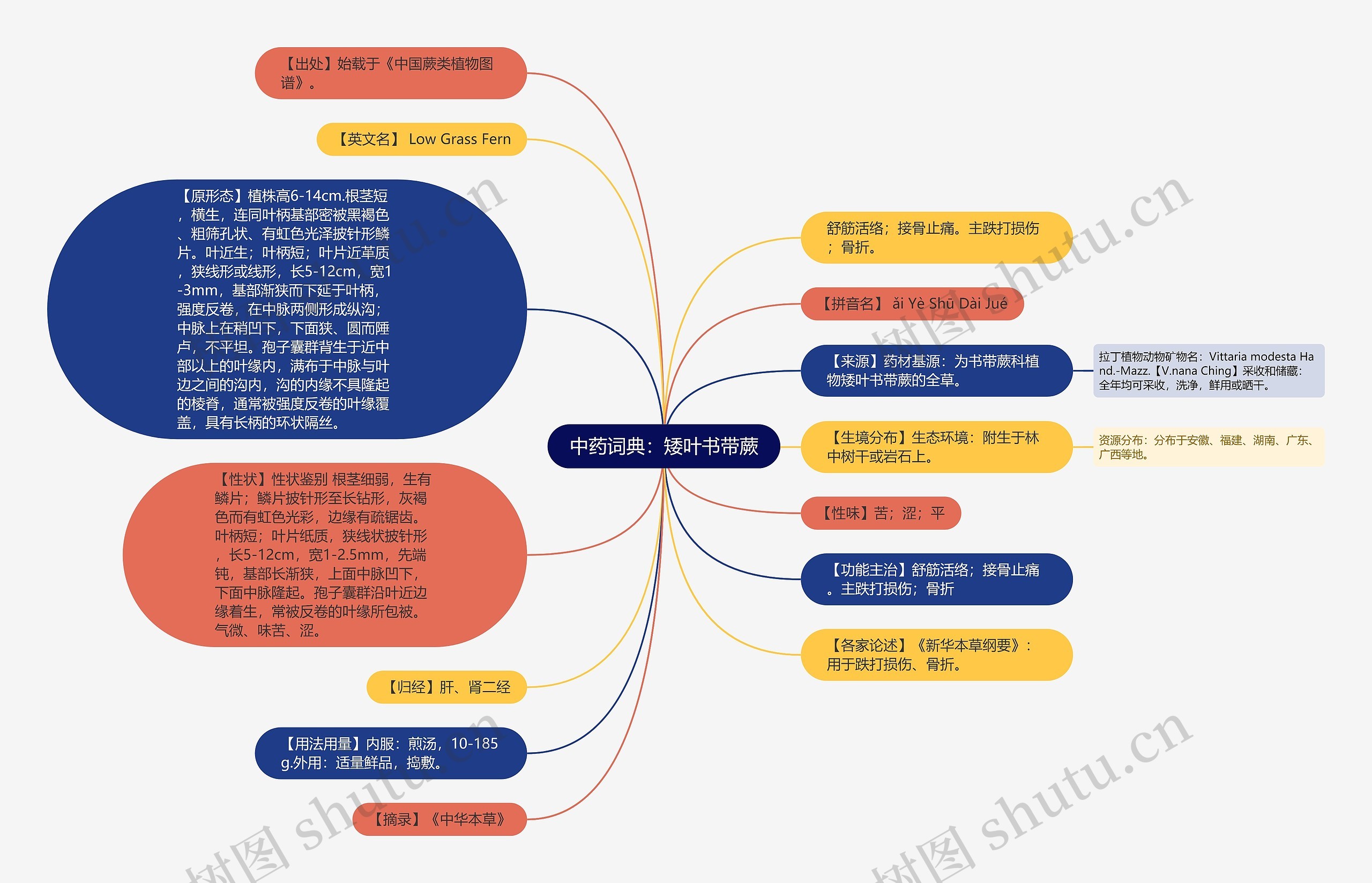 中药词典：矮叶书带蕨思维导图