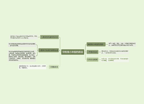 导致矮小体型的原因