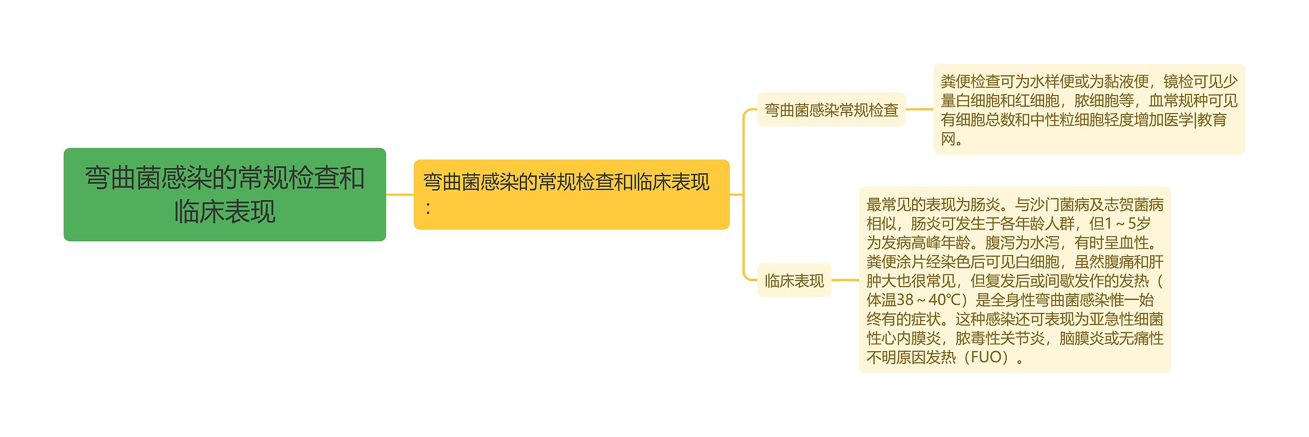 弯曲菌感染的常规检查和临床表现