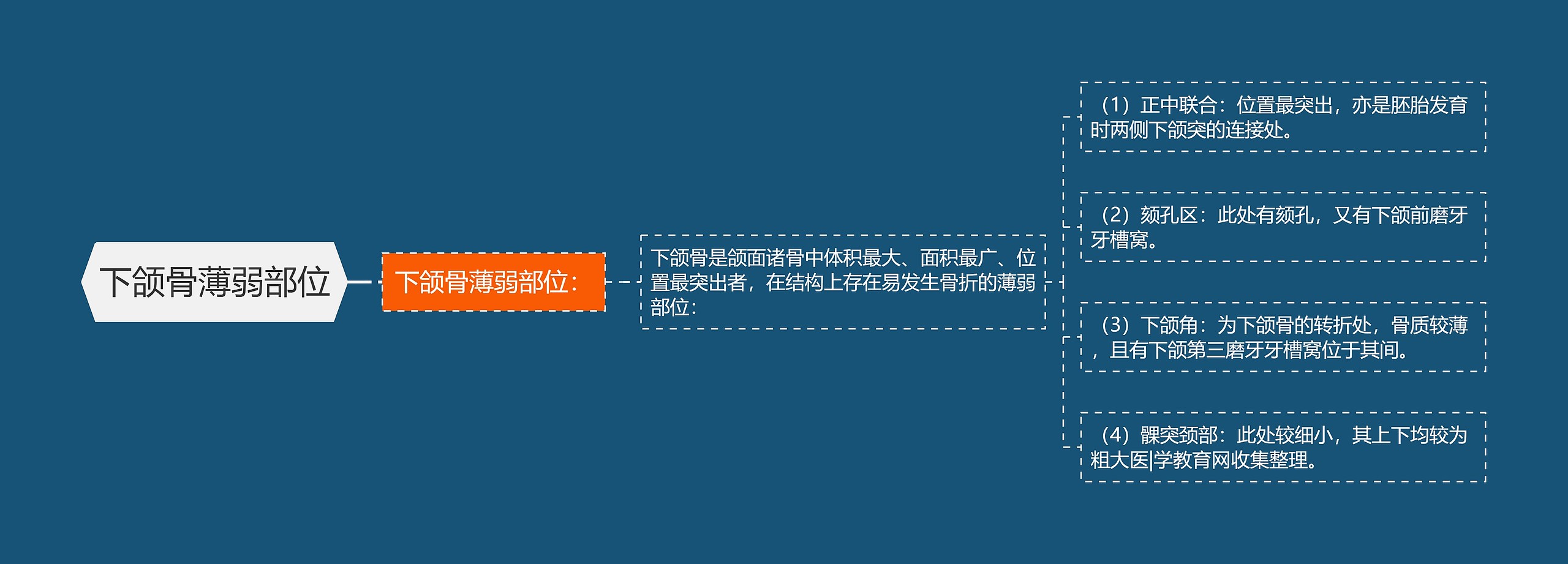 下颌骨薄弱部位 下颌骨薄弱部位