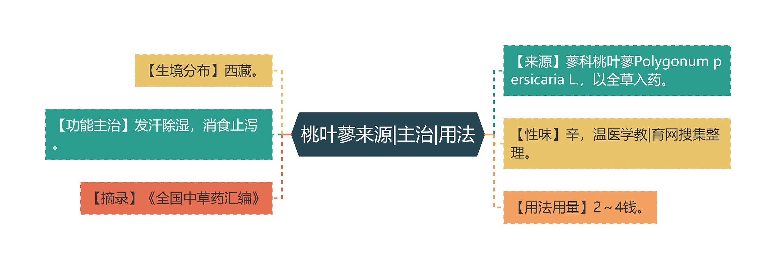 桃叶蓼来源|主治|用法思维导图