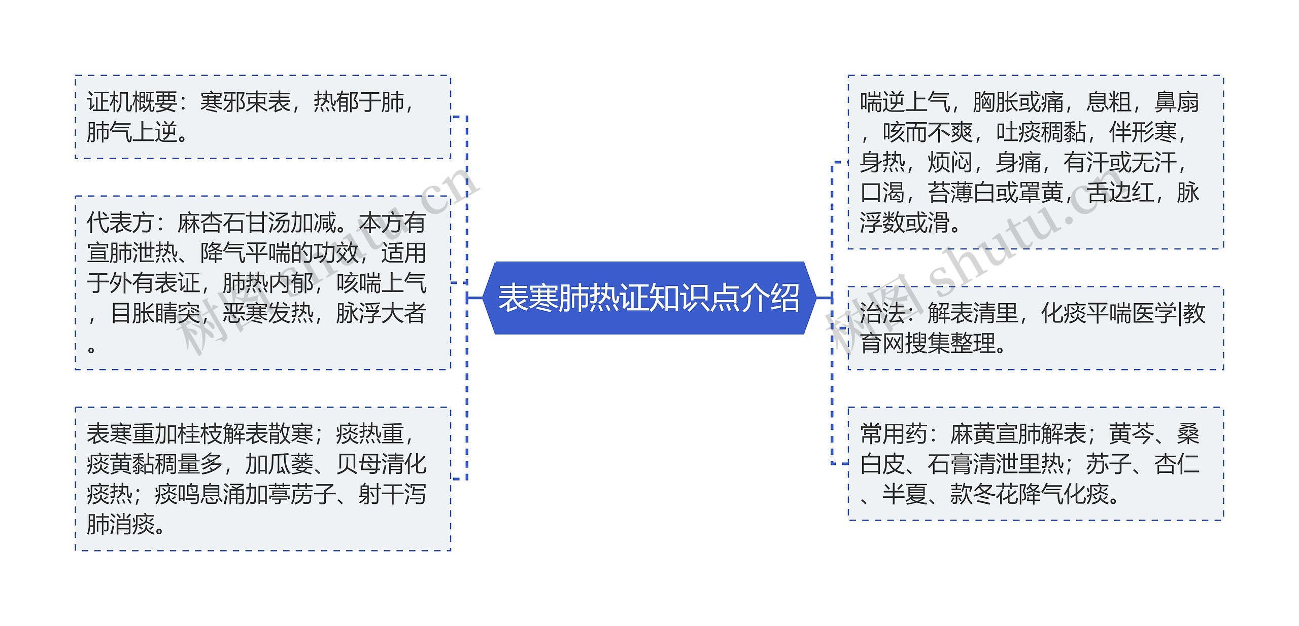 表寒肺热证知识点介绍思维导图