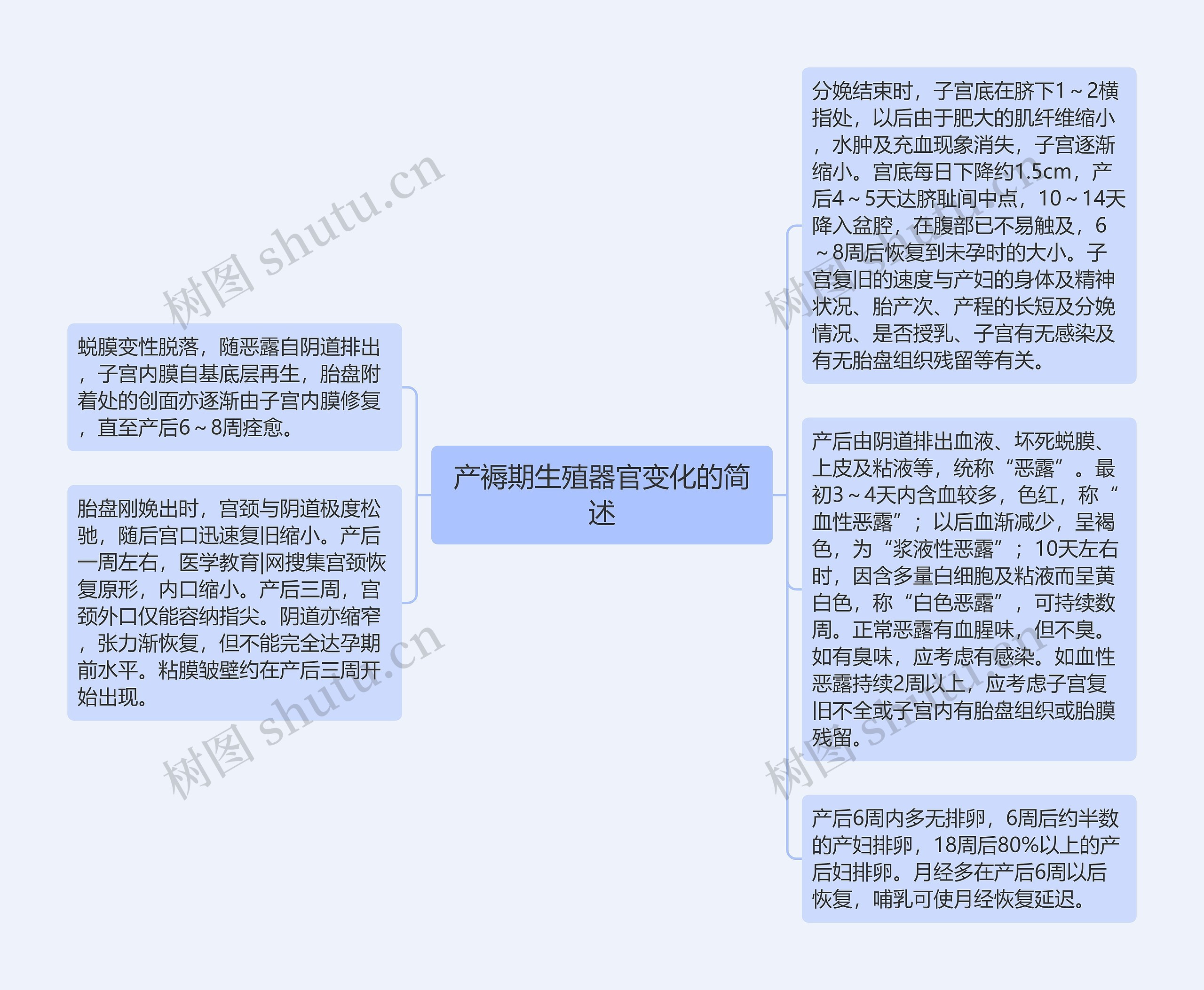 产褥期生殖器官变化的简述