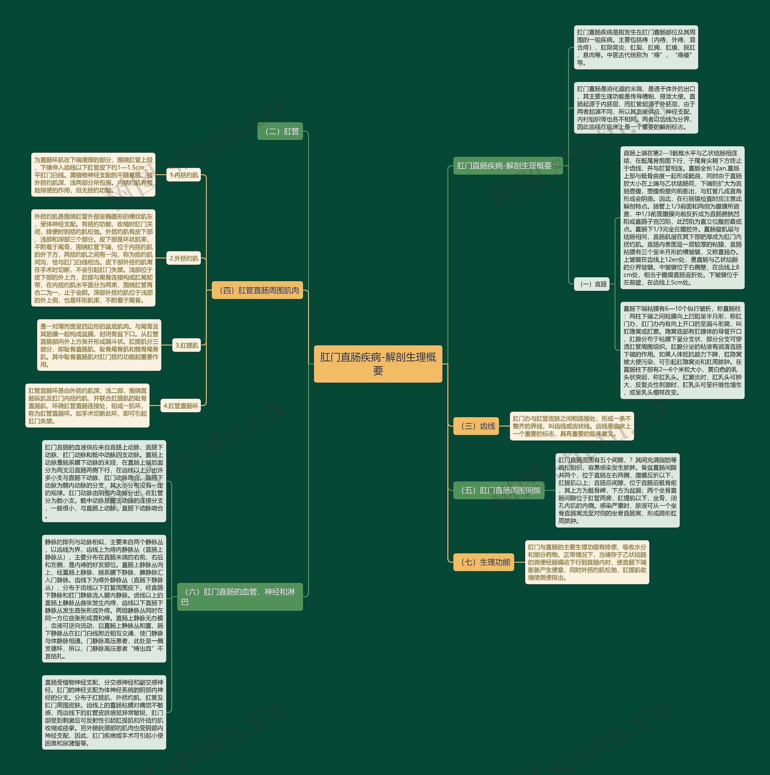 肛门直肠疾病-解剖生理概要 肛门直肠疾病-解剖生理概要