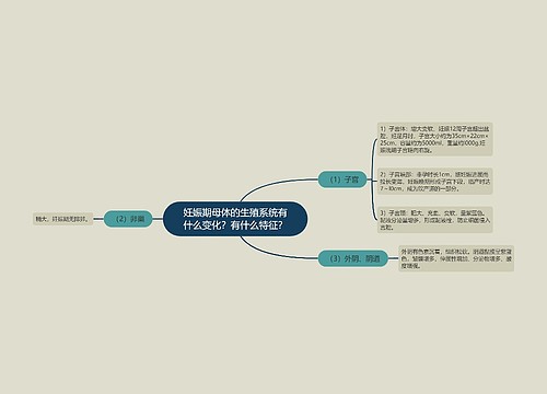 妊娠期母体的生殖系统有什么变化？有什么特征？