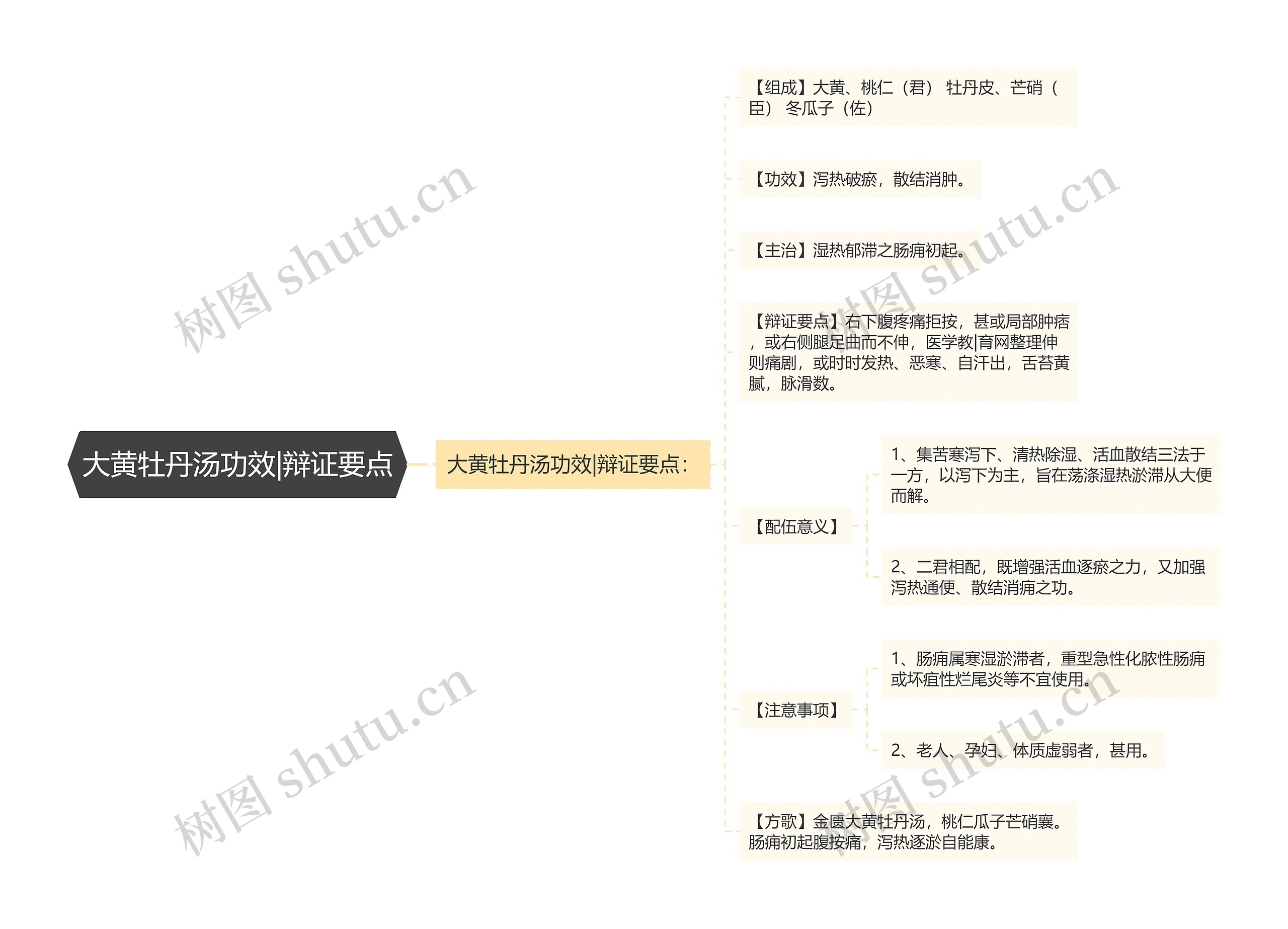 大黄牡丹汤功效|辩证要点思维导图