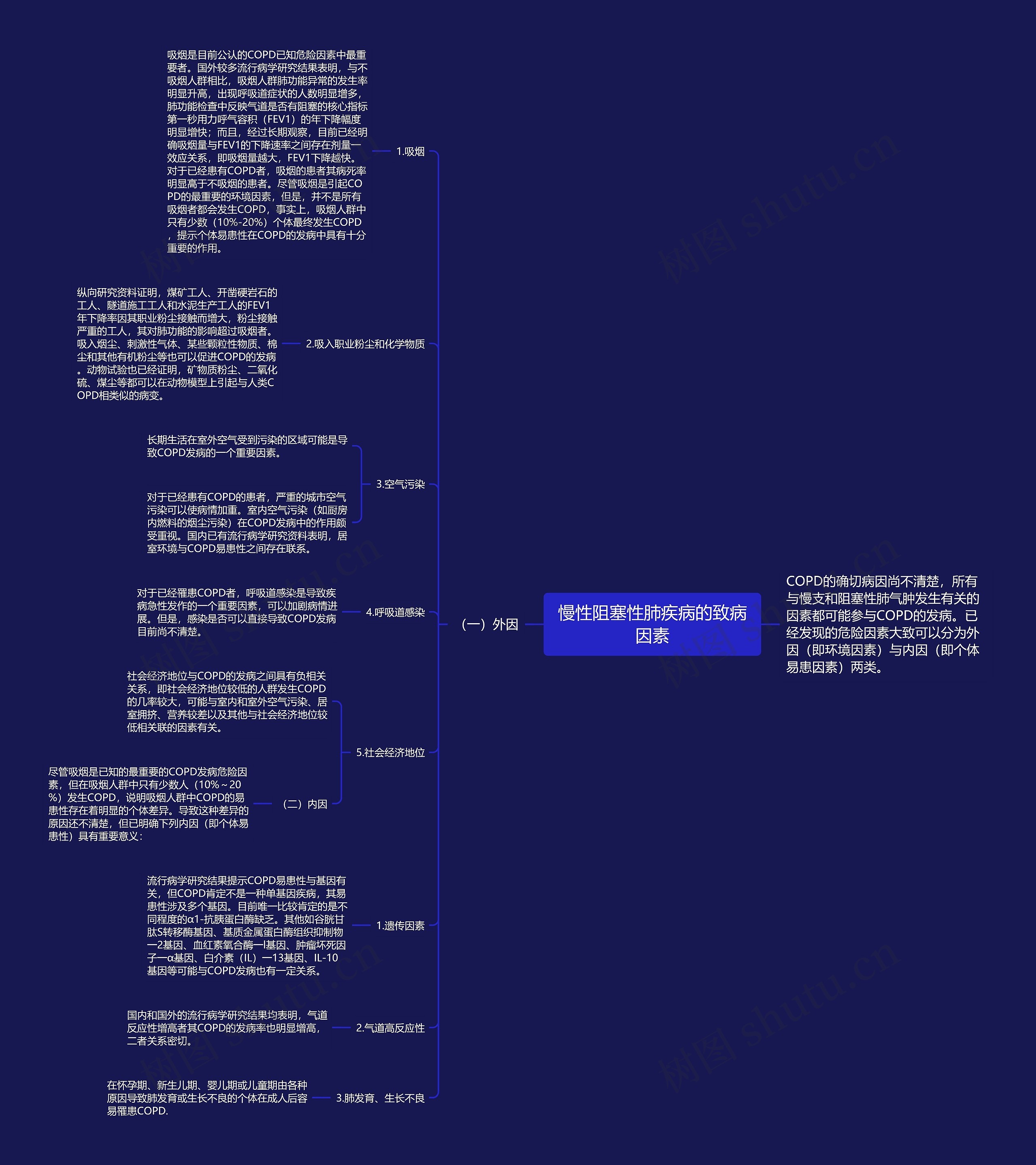 慢性阻塞性肺疾病的致病因素 慢性阻塞性肺疾病的致病因素