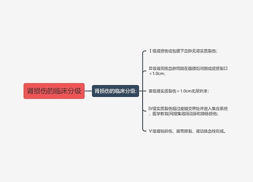 肾损伤的临床分级
