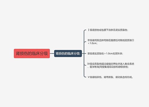 肾损伤的临床分级