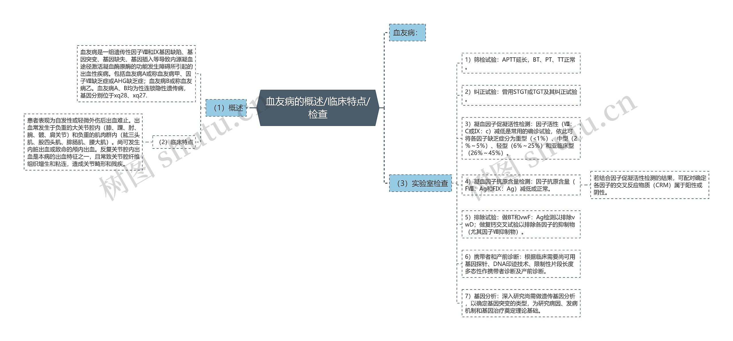 血友病的概述/临床特点/检查