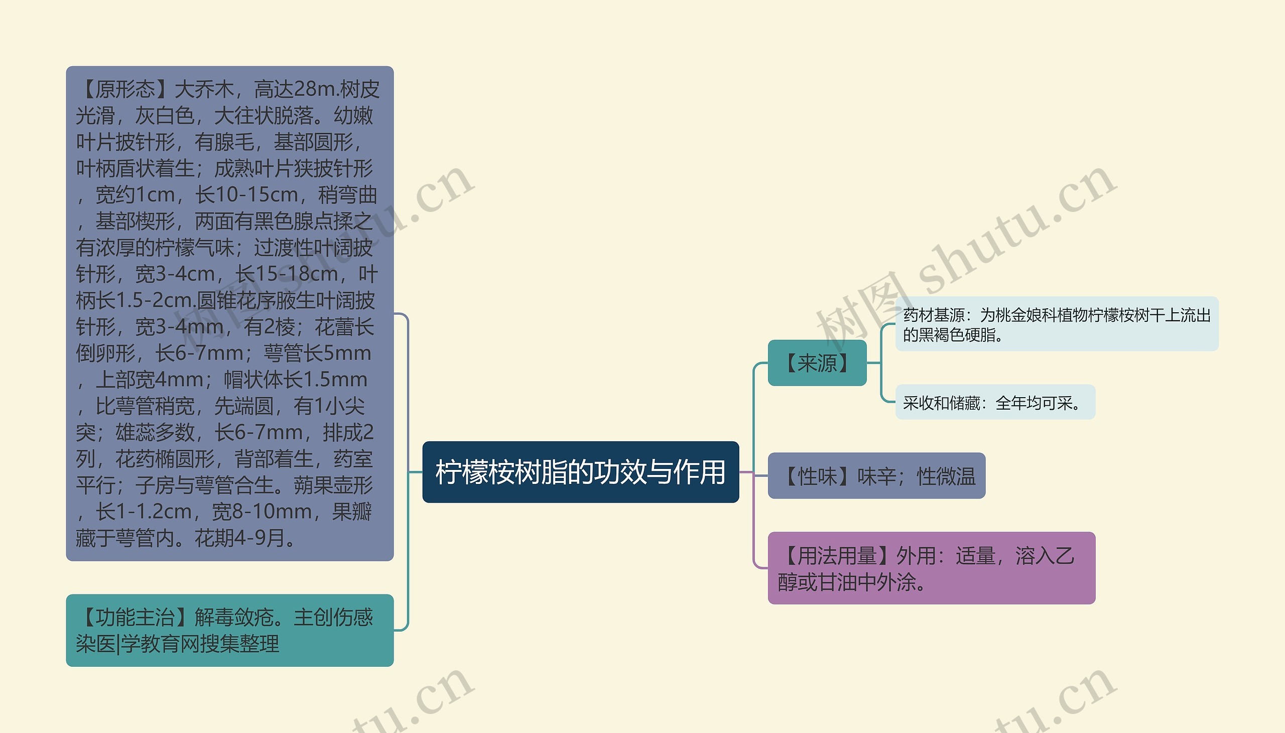 柠檬桉树脂的功效与作用思维导图