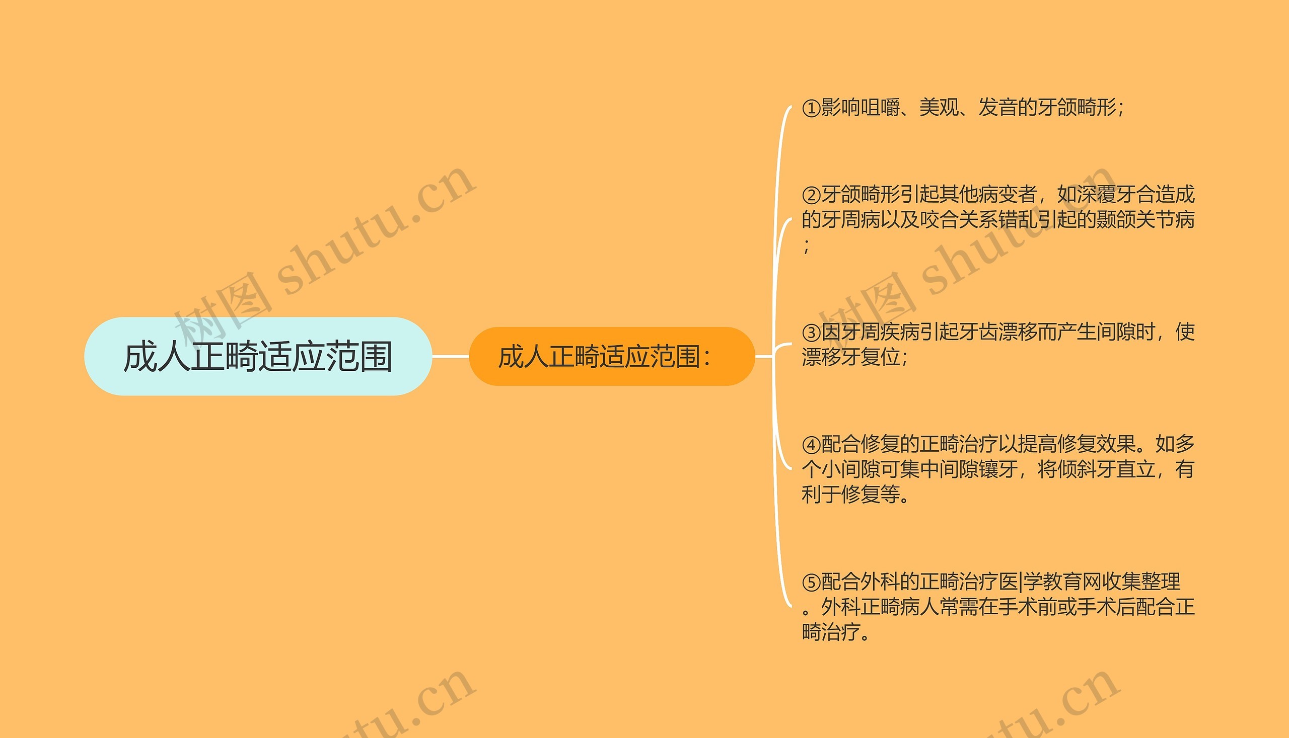 成人正畸适应范围思维导图